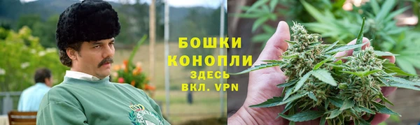 гашик Тихвин