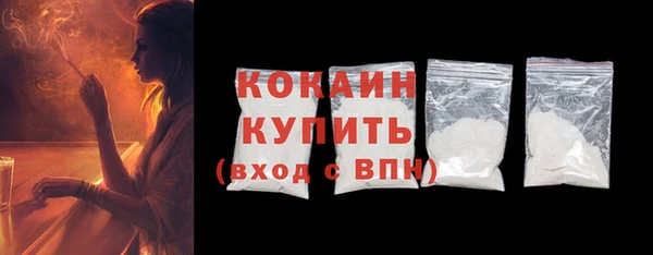 индика Ладушкин