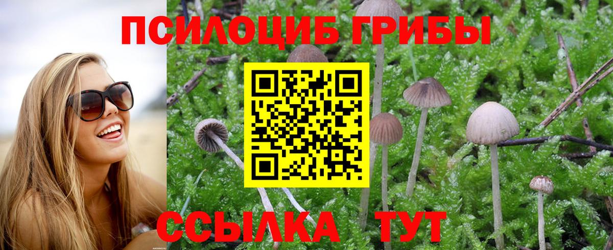 Галлюциногенные грибы прущие грибы Мариинск