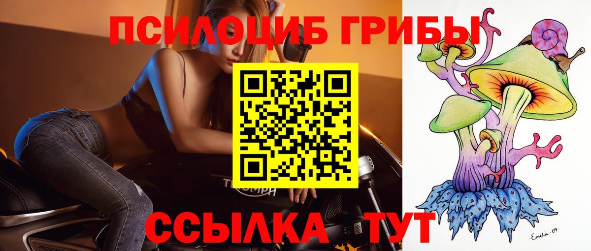 Галлюциногенные грибы Psilocybe  Мариинск  Псилоцибиновые грибы ЛСД 
