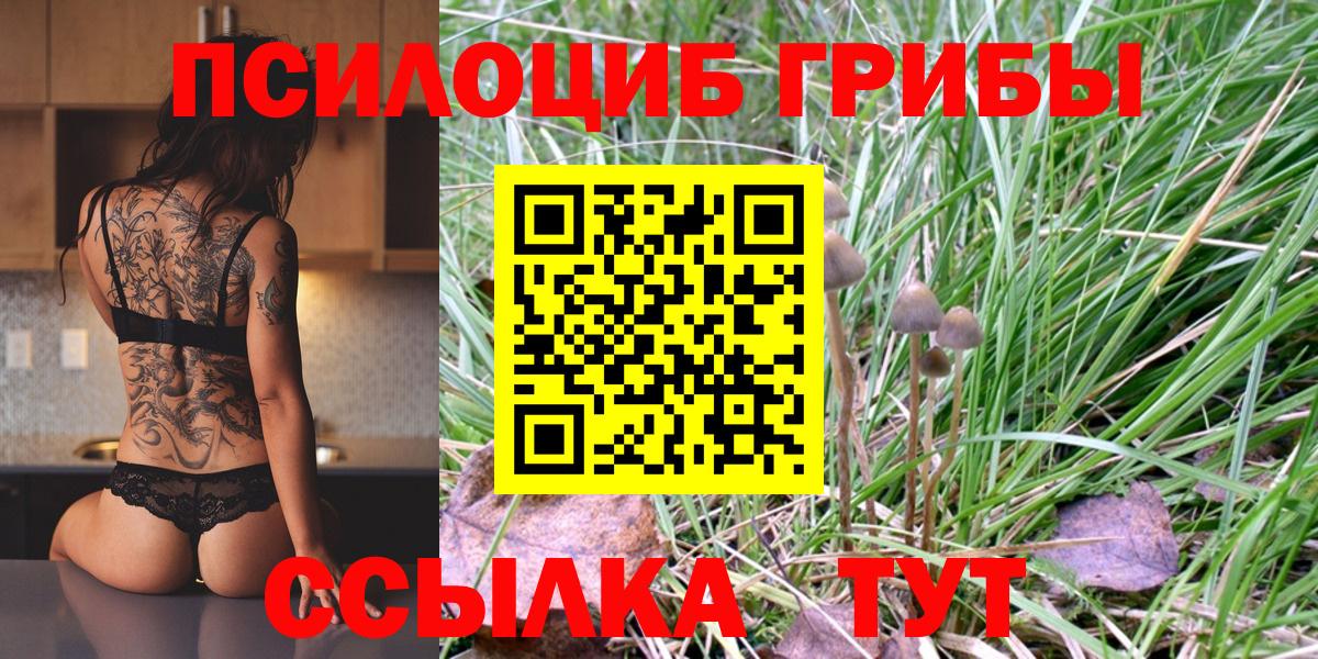 Мариинск  Псилоцибиновые грибы Psilocybine cubensis  Вход с VPN  Галлюциногенные грибы ЛСД 