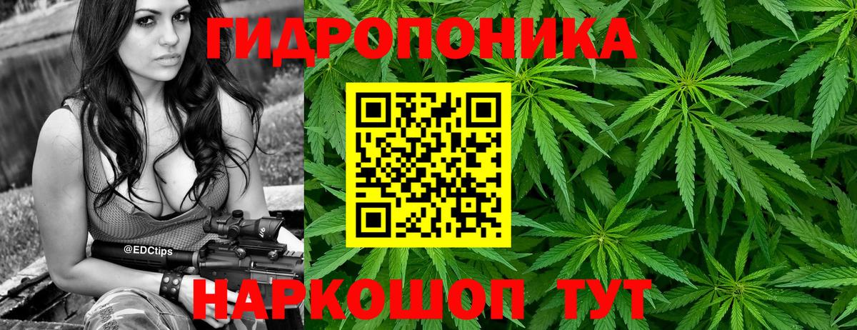 Конопля Amnesia Мариинск